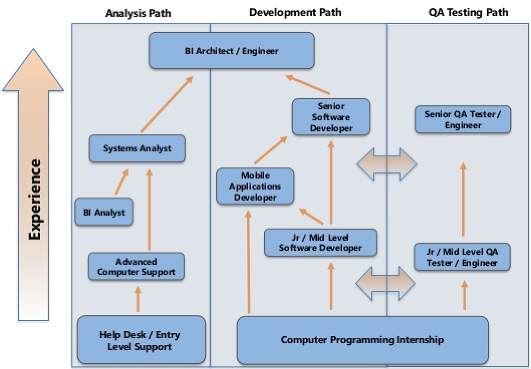 network architect career path